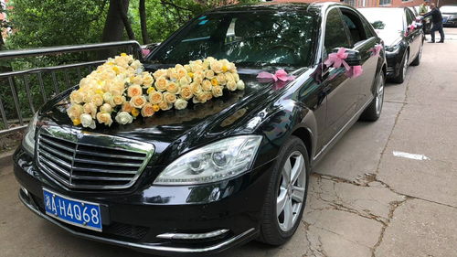 河南租車報價、廠家資源與二手車經銷市場概覽